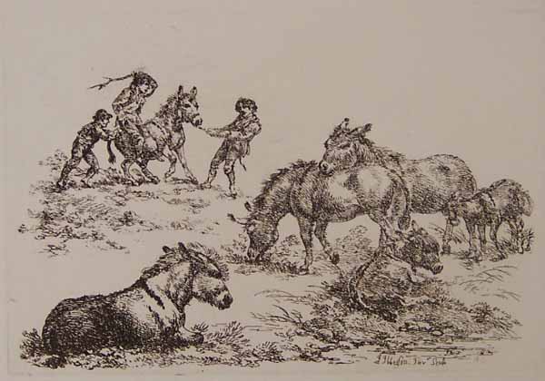 Six Donkeys, One Attacked by Three Boys